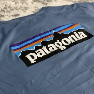 Patagonia Men’s T-Shirt XL (Blue)